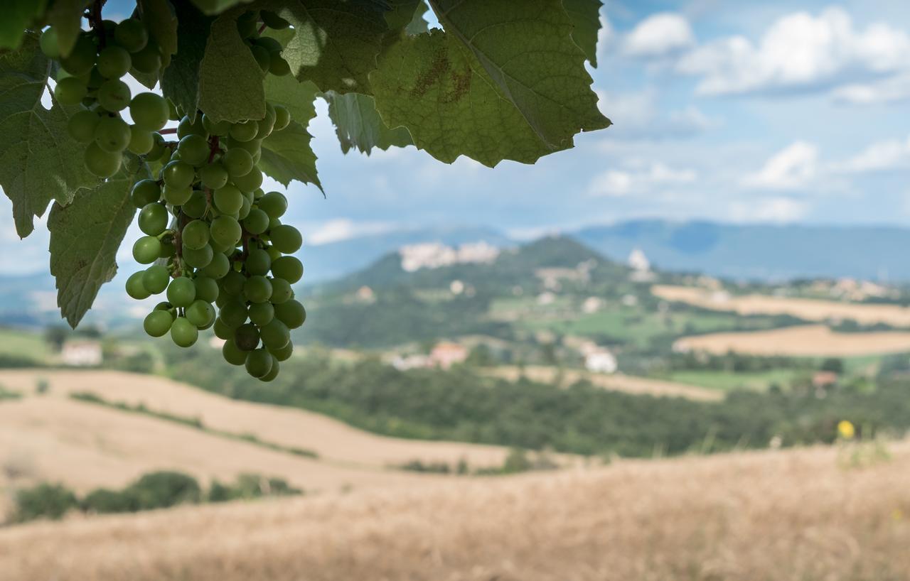 Borgo Bianchini Villa Todi Dış mekan fotoğraf